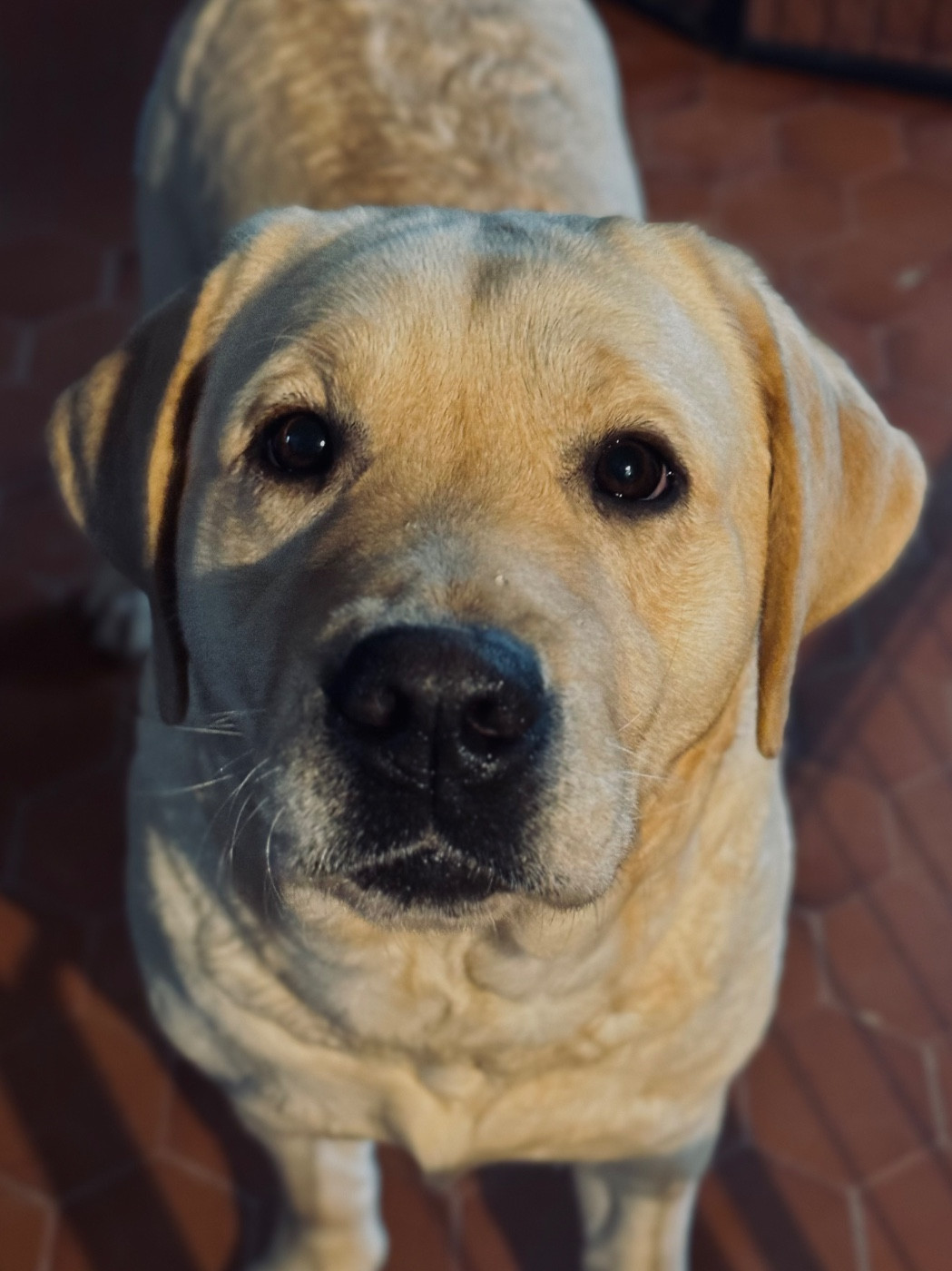 Publication : Des Yeux Doux