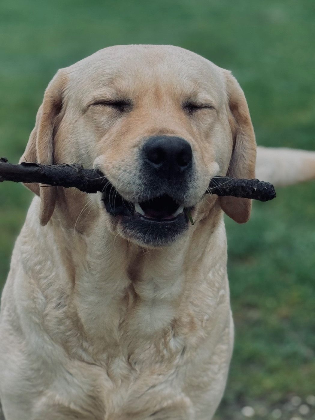 Publication : Des Yeux Doux