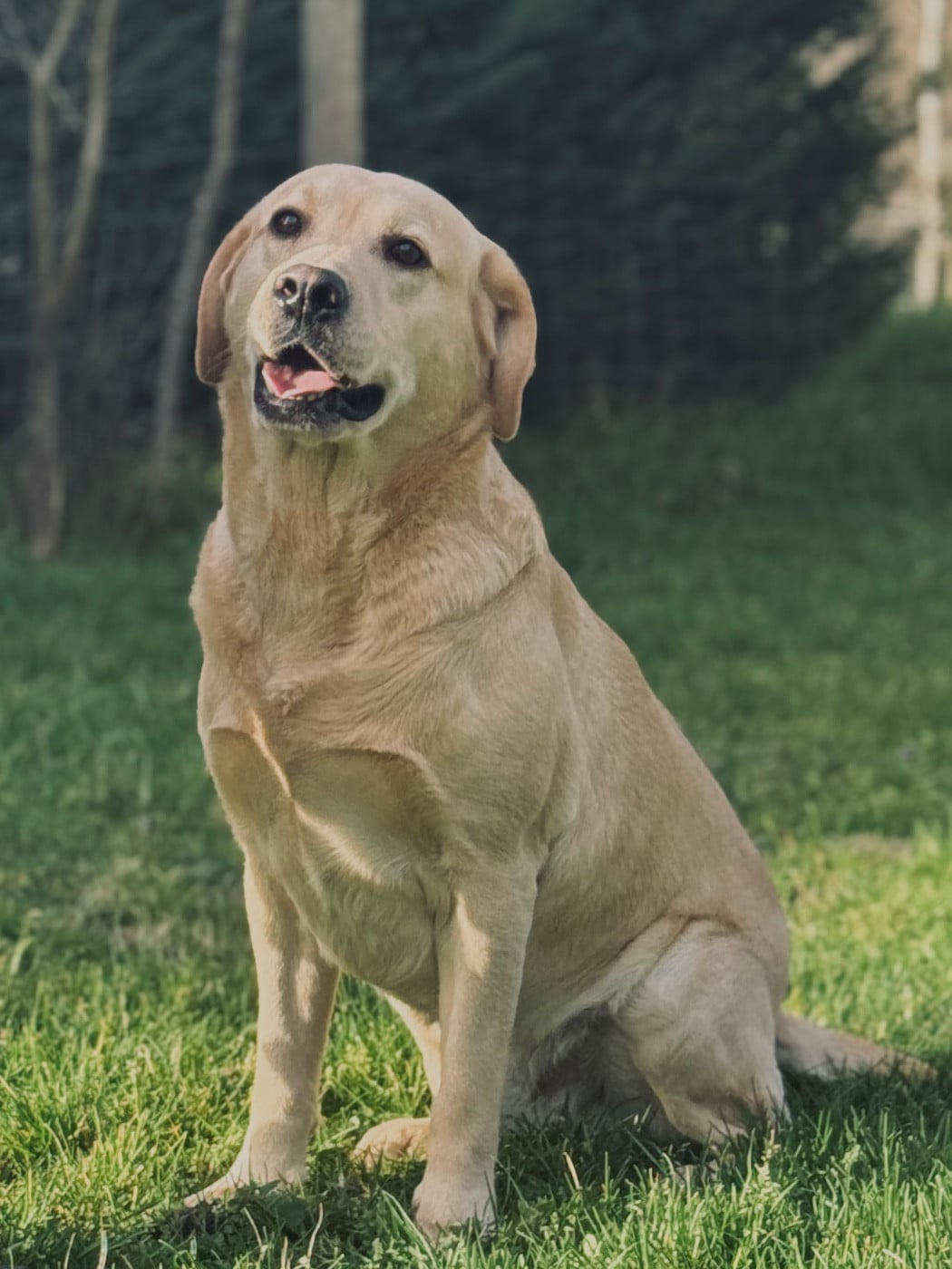 Publication : Des Yeux Doux Auteur : La Vallée du Goldor