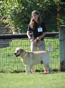 Lancelot Des Yeux Doux - 2ème Très bon