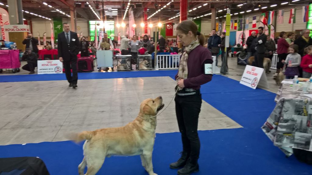 Lancelot Des Yeux Doux - 1er Excellent, CACS- meilleur de race de sexe opposé