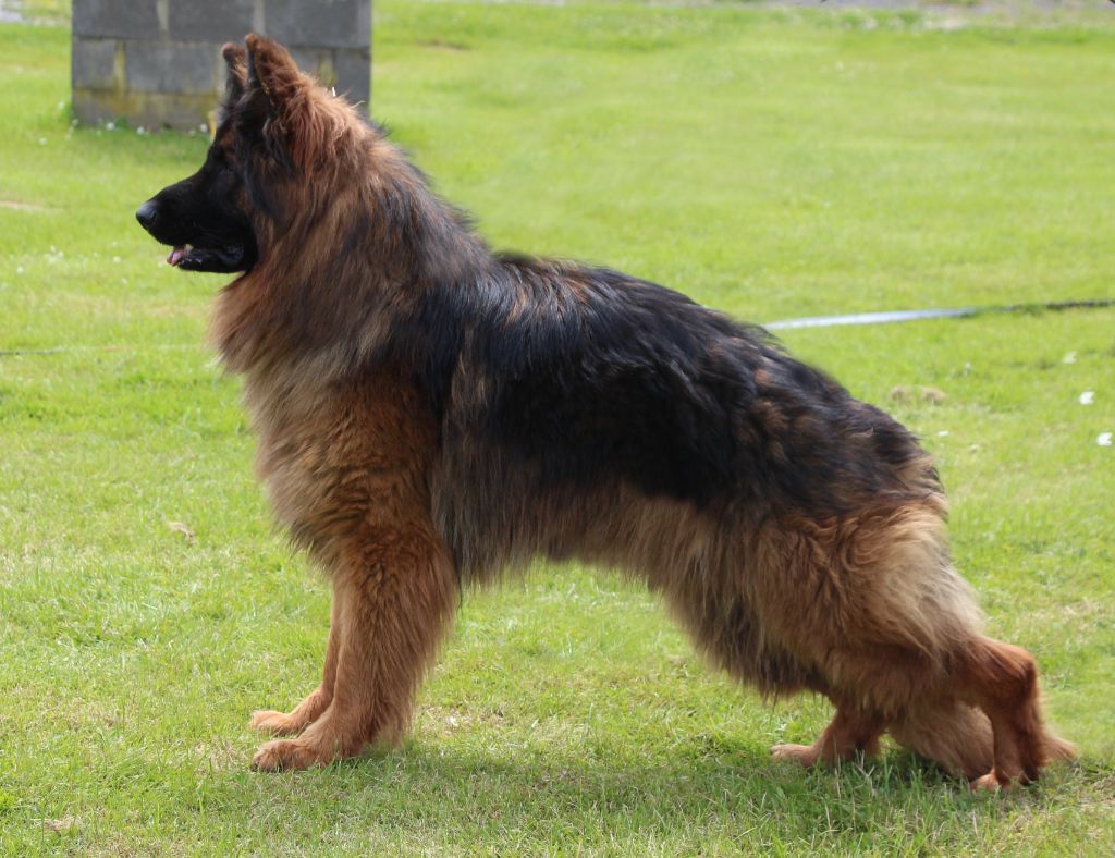 Publication : Des Trois Lieux