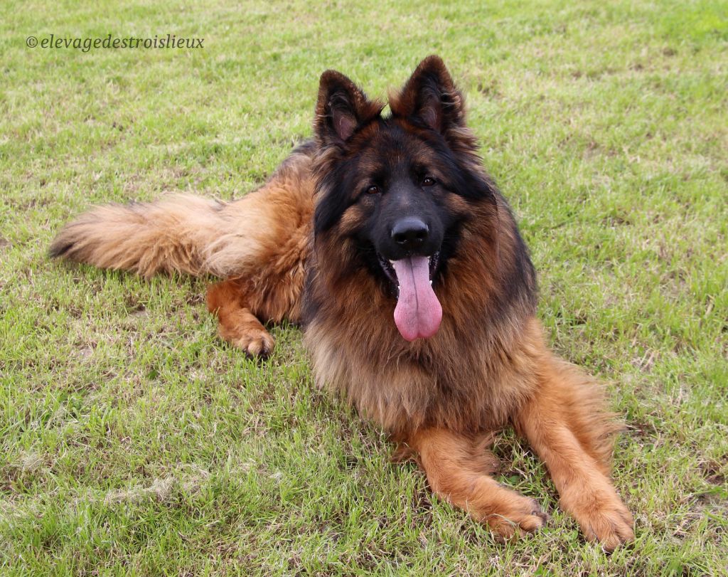 Publication : Des Trois Lieux