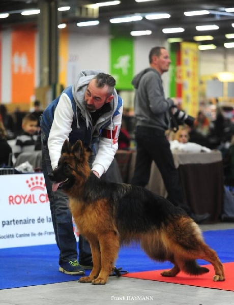 CH. Loréal Des Trois Lieux - 1ere excellente en Jeune