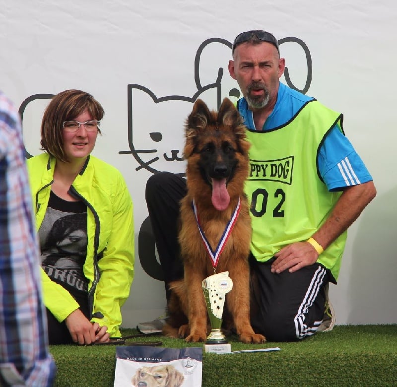 CH. Loréal Des Trois Lieux - Championne d'hollande