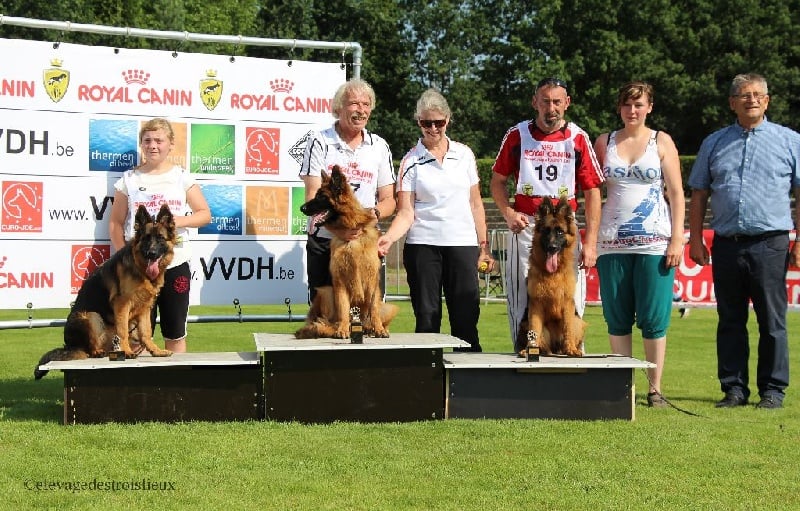 CH. Loréal Des Trois Lieux - 3eme tres prometteur