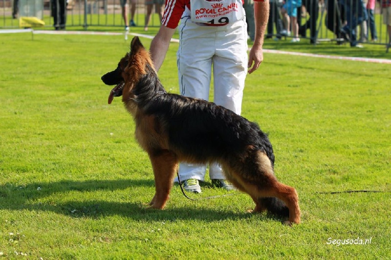 CH. Loréal Des Trois Lieux - 2eme TP - Vice championne d'Europe