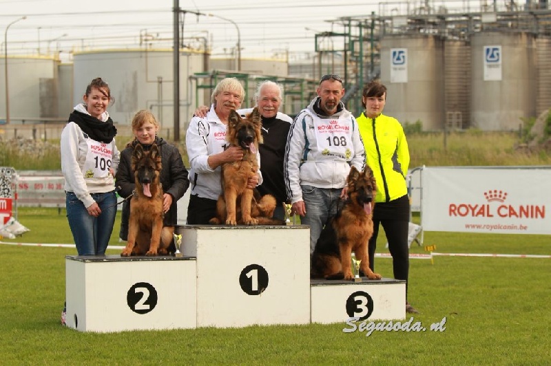 CH. Loréal Des Trois Lieux - 3ème Très Prometteur