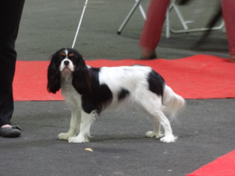 Izzy beauty Des Petits Artistes - Très bon en classe jeune.