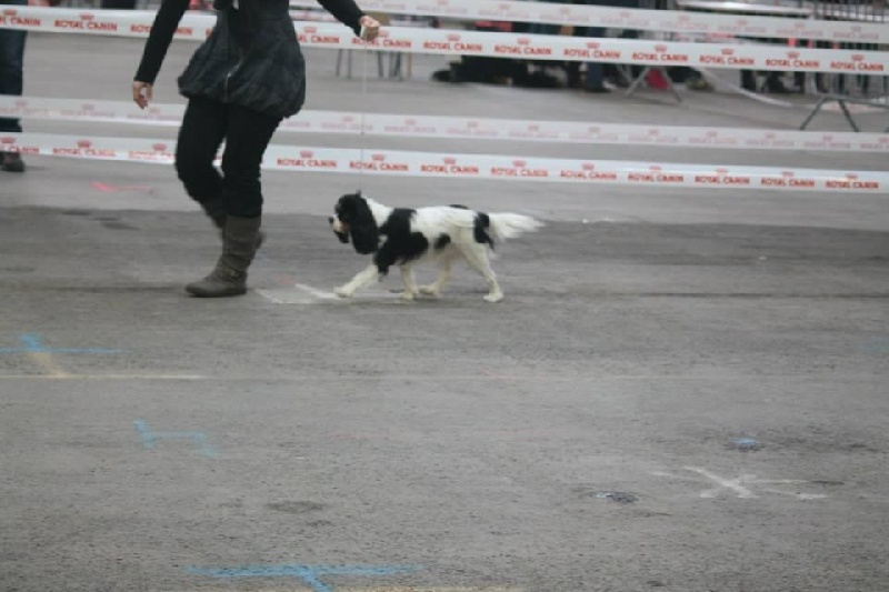 Izzy beauty Des Petits Artistes - 1ère excellente et meilleur jeune