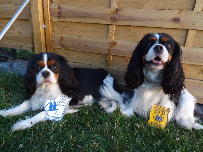 Izzy beauty Des Petits Artistes - 2ème excellente