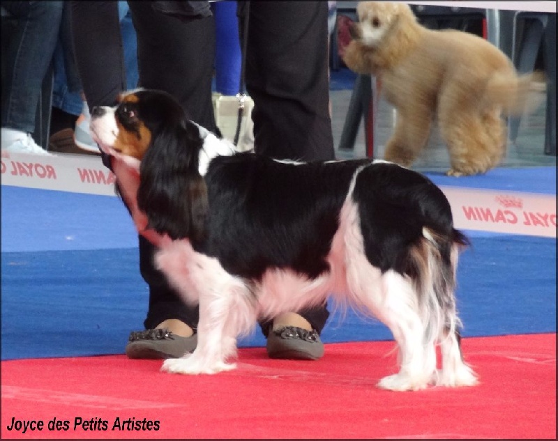 Joyce Des Petits Artistes - 2 ème excellente + confirmation + TAN 10/10