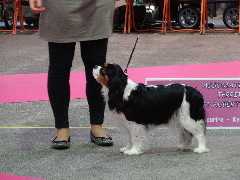 Joyce Des Petits Artistes - 2ème Très Bon