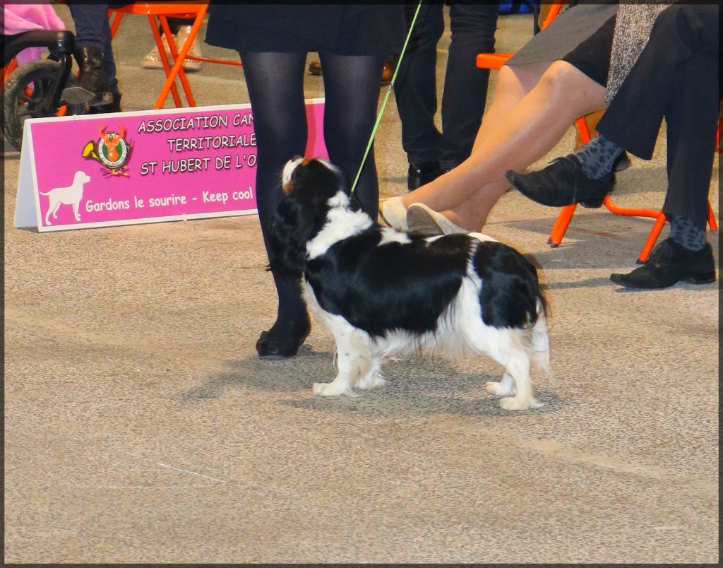 Joyce Des Petits Artistes - 3 ème excellente