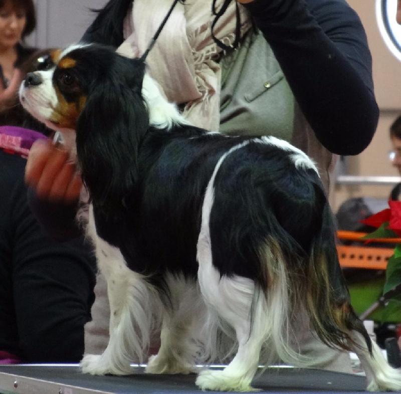 Joyce Des Petits Artistes - Très bon