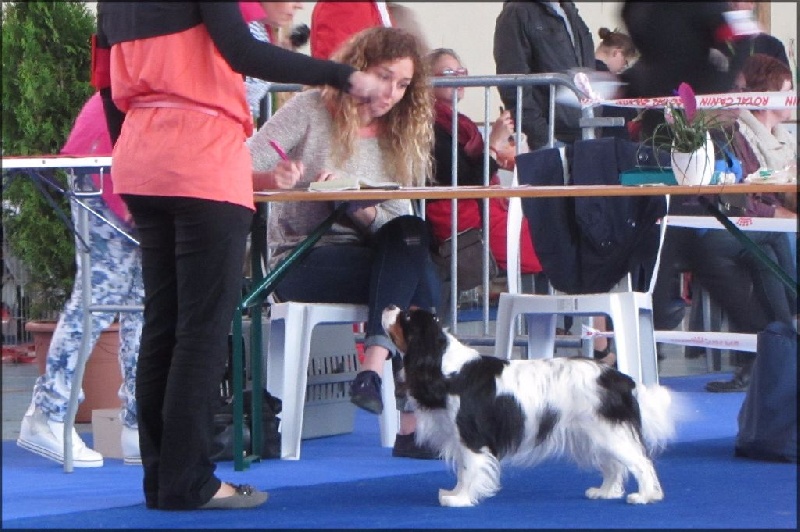 Izzy beauty Des Petits Artistes - 1 ère Très Bon.