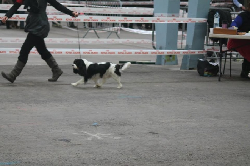 Ficelle (Sans Affixe) - 2ème Très bon