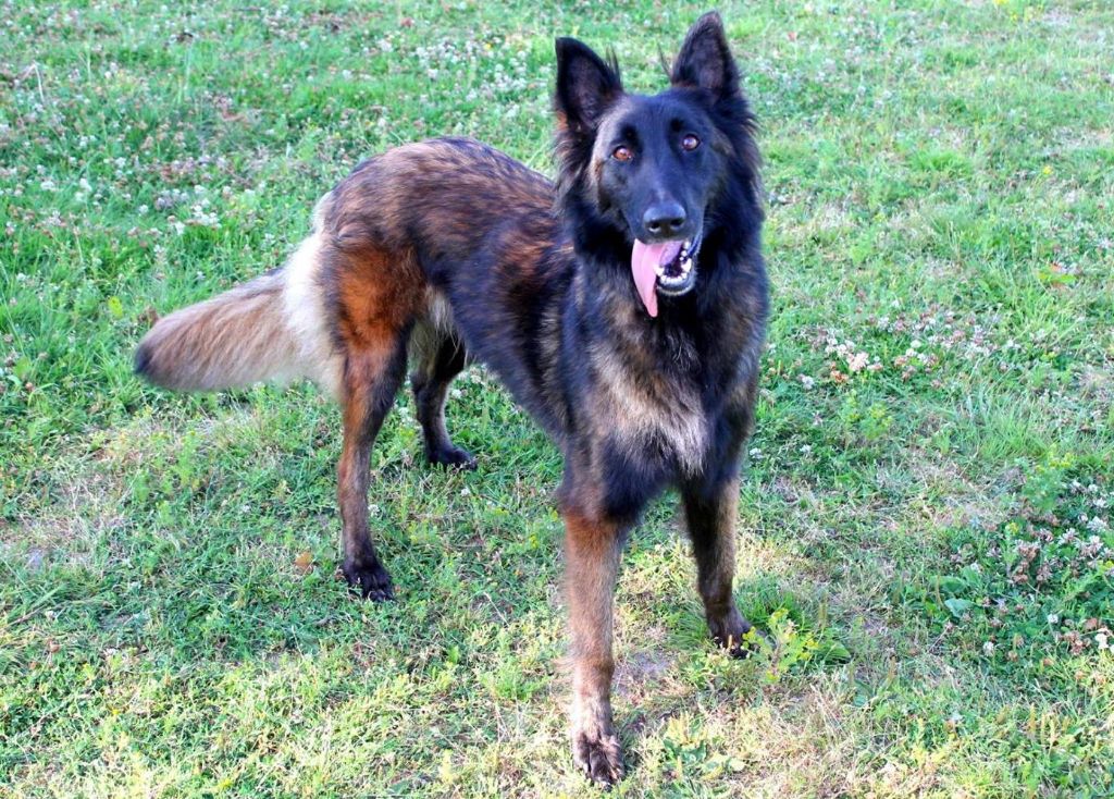 Publication : of The Eternal Rainbow Auteur : moi