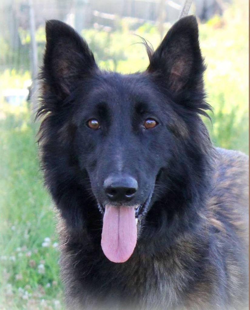 Publication : of The Eternal Rainbow Auteur : moi