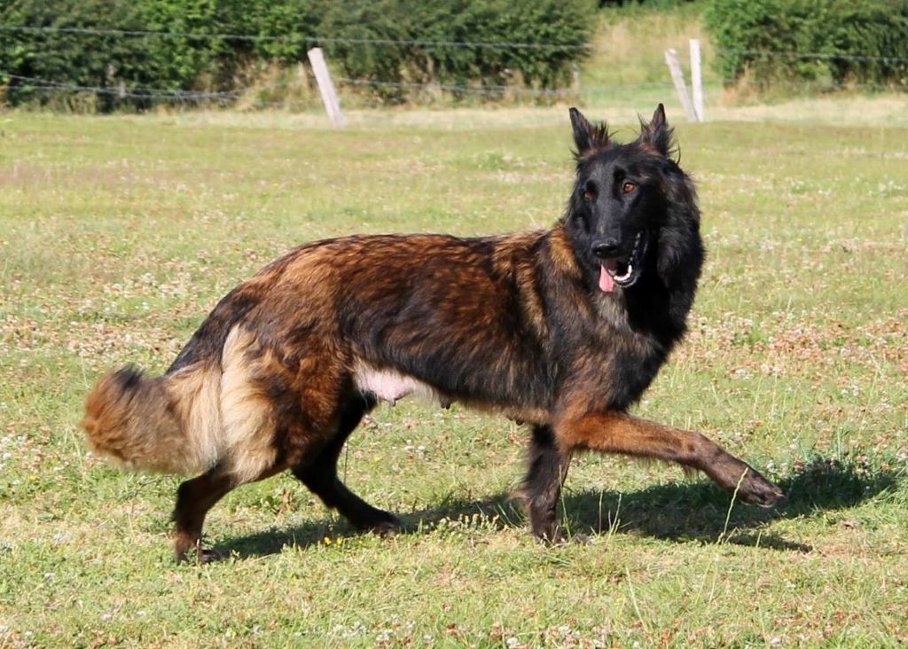 Publication : of The Eternal Rainbow Auteur : moi