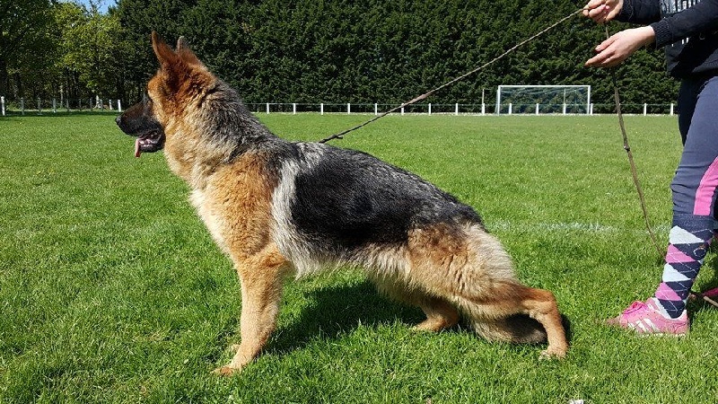 Luna Du grand gout - Trés Bon