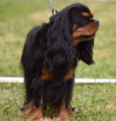 Publication : du règne des flammes