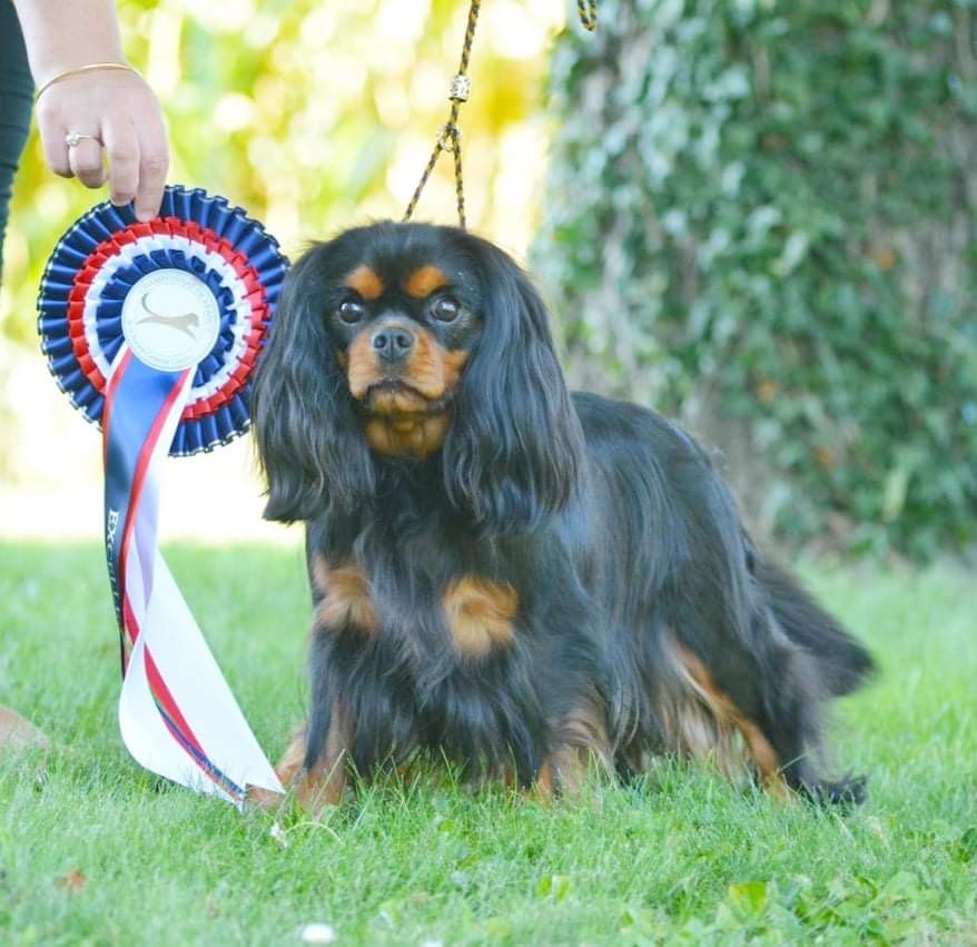 Publication : du règne des flammes