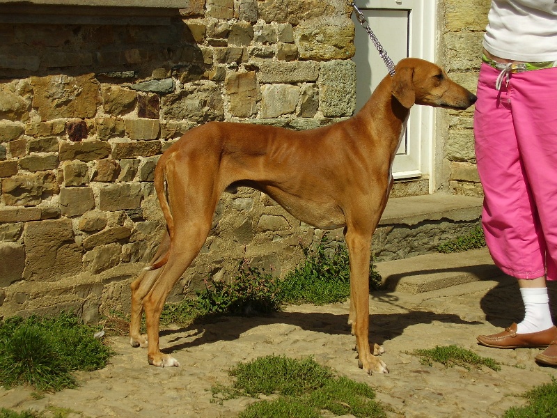 Publication : marvellous sugar Auteur : bquesada