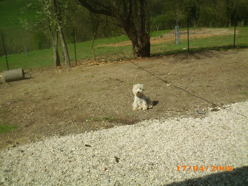 Publication : des O'Connelli Auteur : Mme Duboc Stella