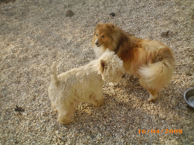 Publication : des O'Connelli Auteur : Mme Duboc Stella