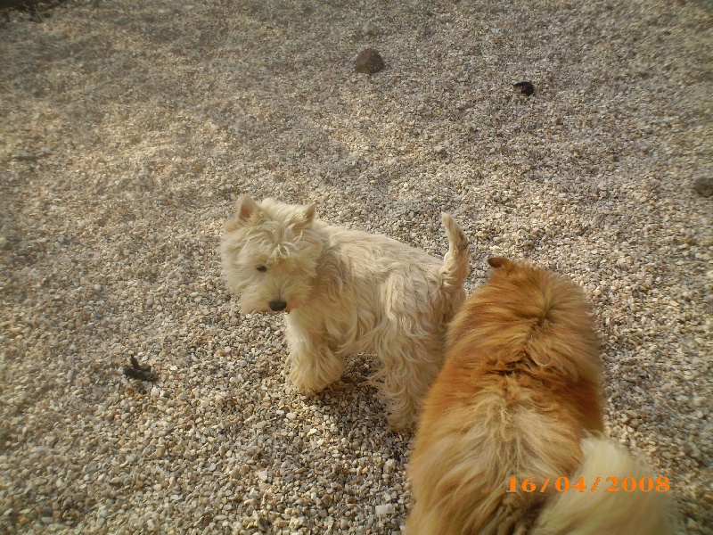 Publication : des O'Connelli Auteur : Mme Duboc Stella