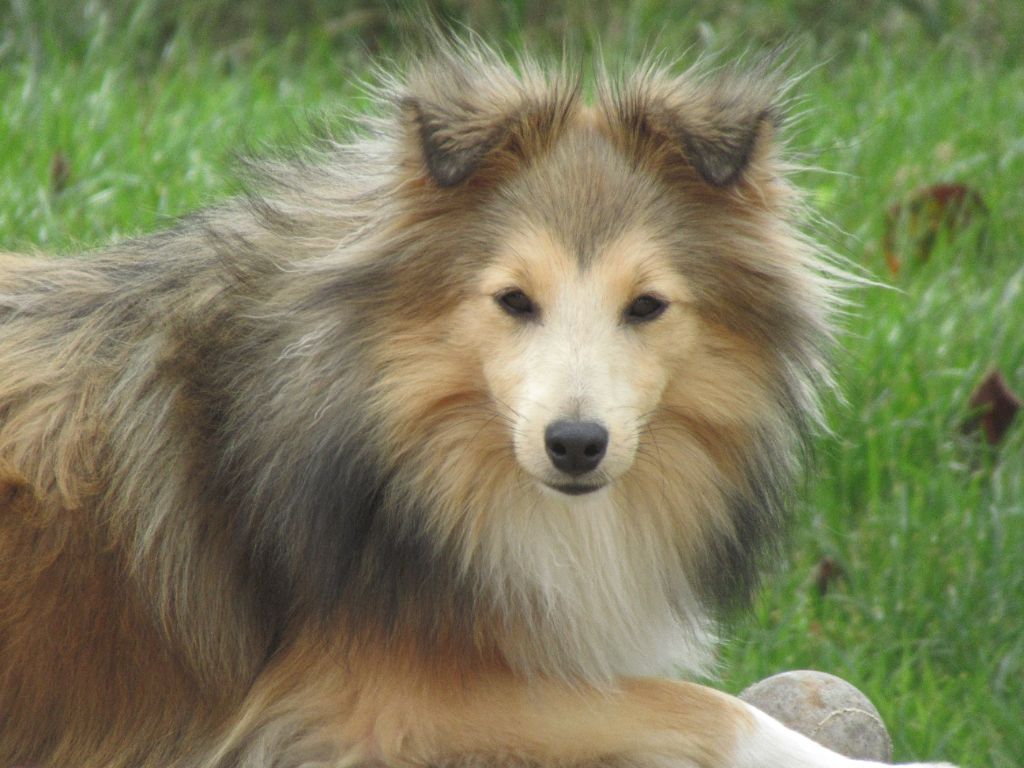 Ukina kin Du puits saint loup