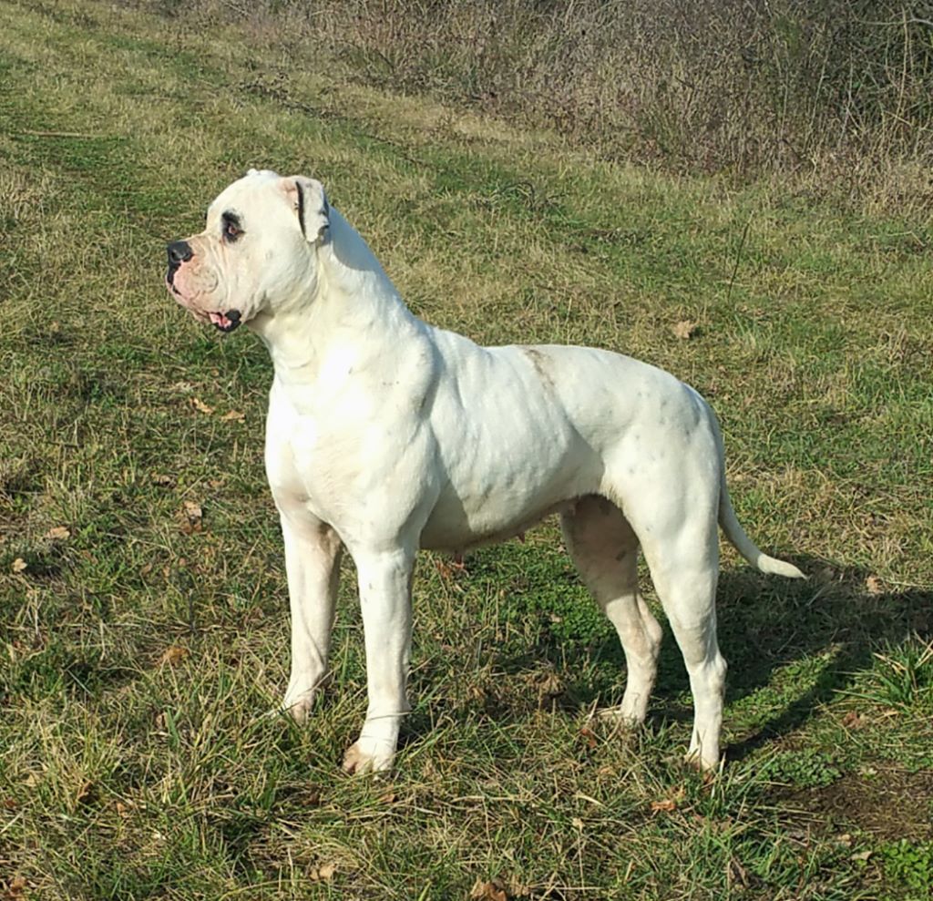 Publication : des Varennes Mystiques