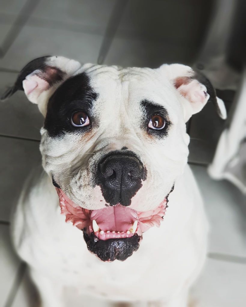 Publication : des Varennes Mystiques