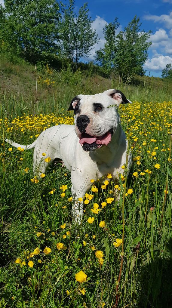 Publication : des Varennes Mystiques