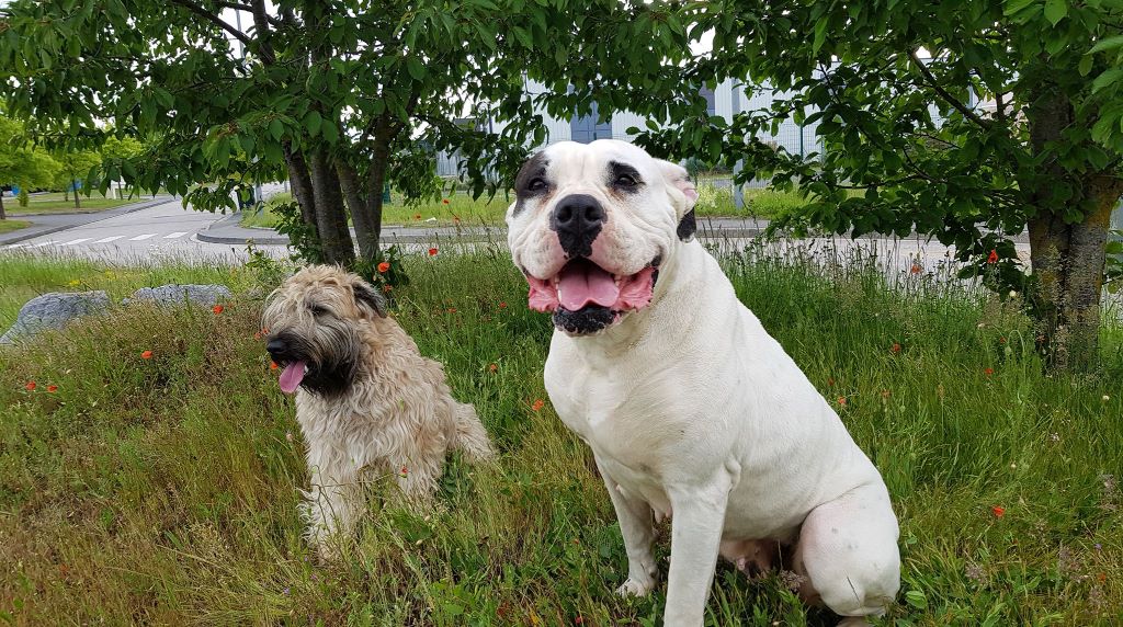 Publication : des Varennes Mystiques