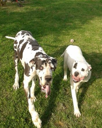 Publication : des Varennes Mystiques