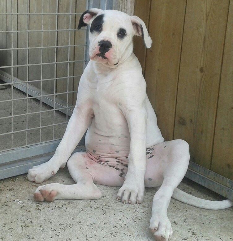 Publication : des Varennes Mystiques