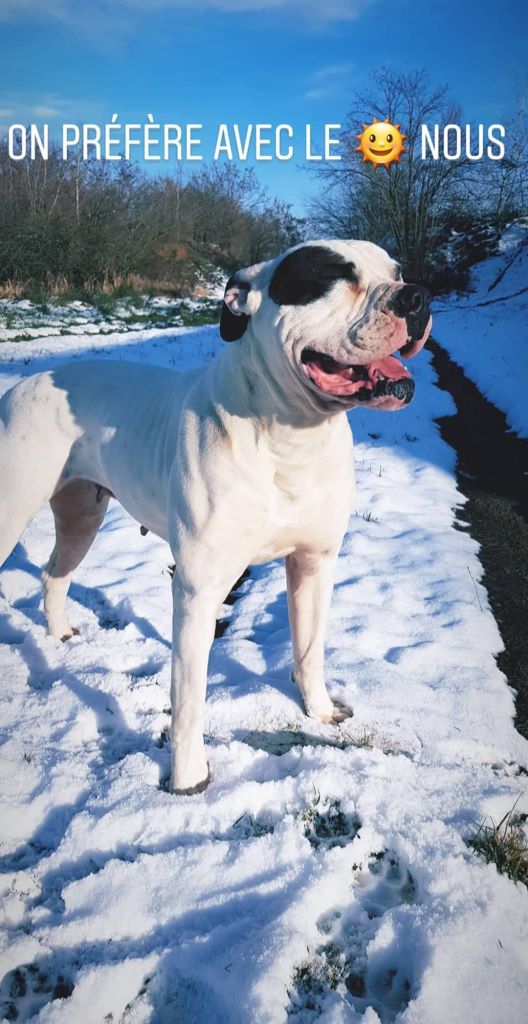 Publication : des Varennes Mystiques