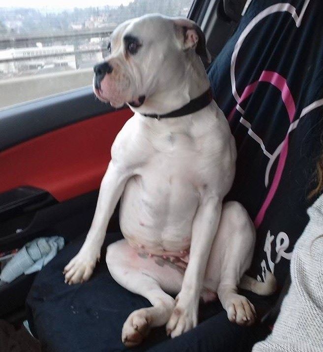 Publication : des Varennes Mystiques