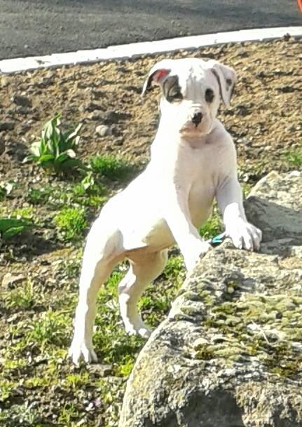 Publication : des Varennes Mystiques