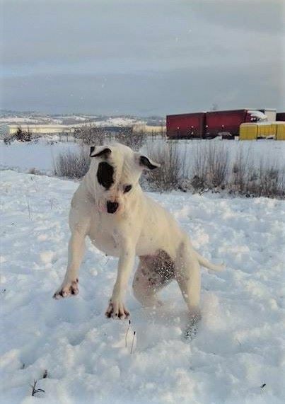 Publication : des Varennes Mystiques