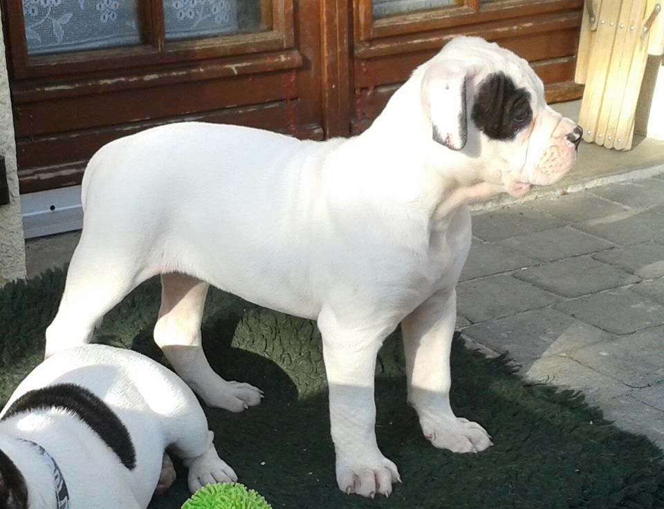 Publication : des Varennes Mystiques