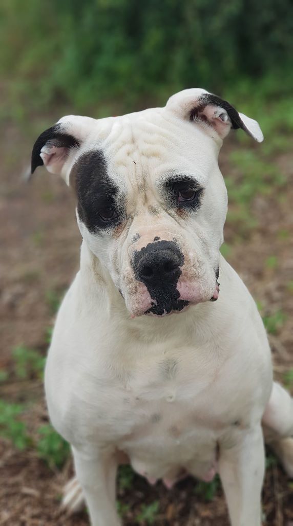 Publication : des Varennes Mystiques