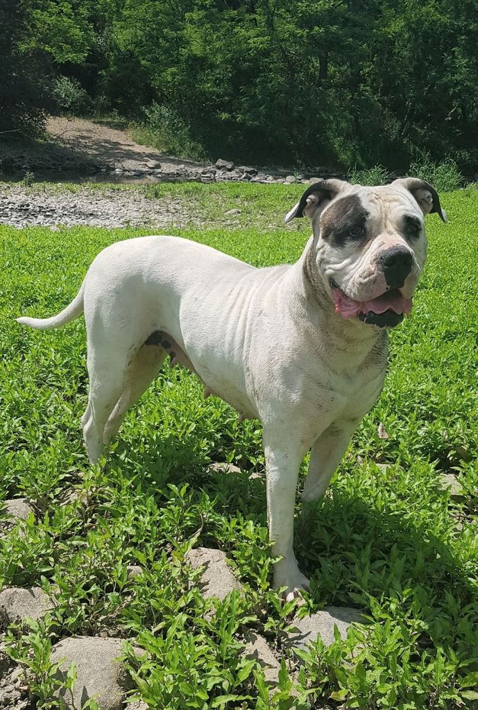 Publication : des Varennes Mystiques