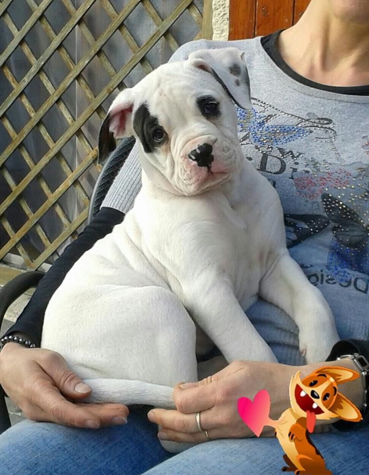 Publication : des Varennes Mystiques