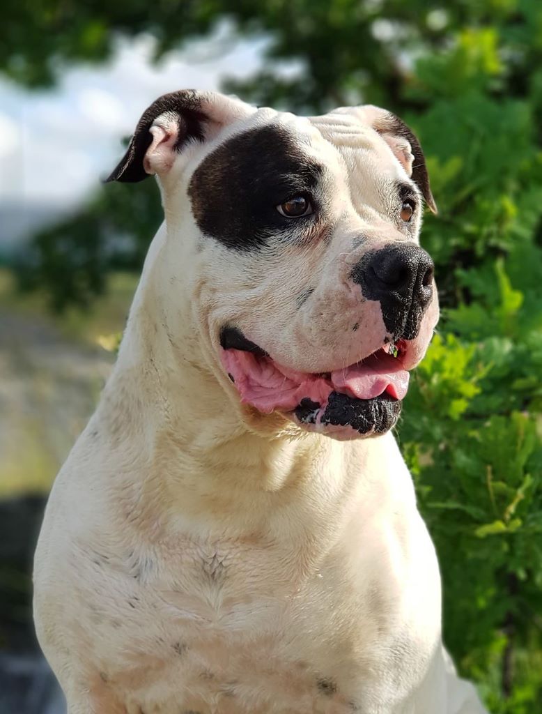 Publication : des Varennes Mystiques