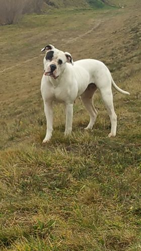 Publication : des Varennes Mystiques