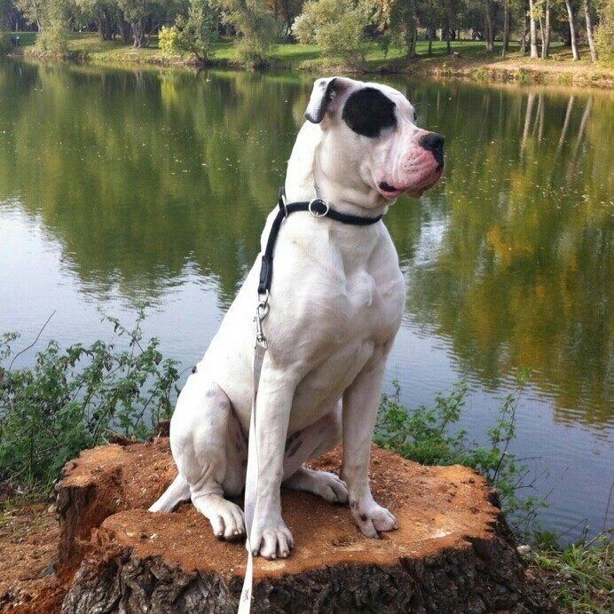 Publication : des Varennes Mystiques