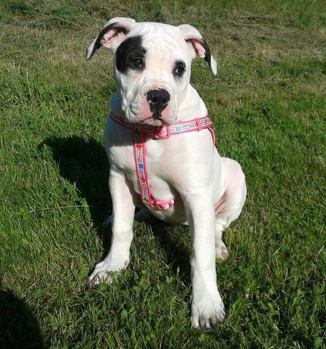 Publication : des Varennes Mystiques